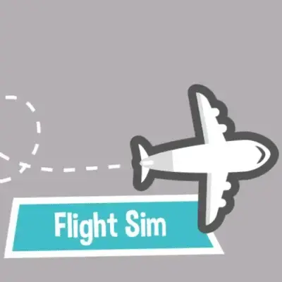 Flight Sim